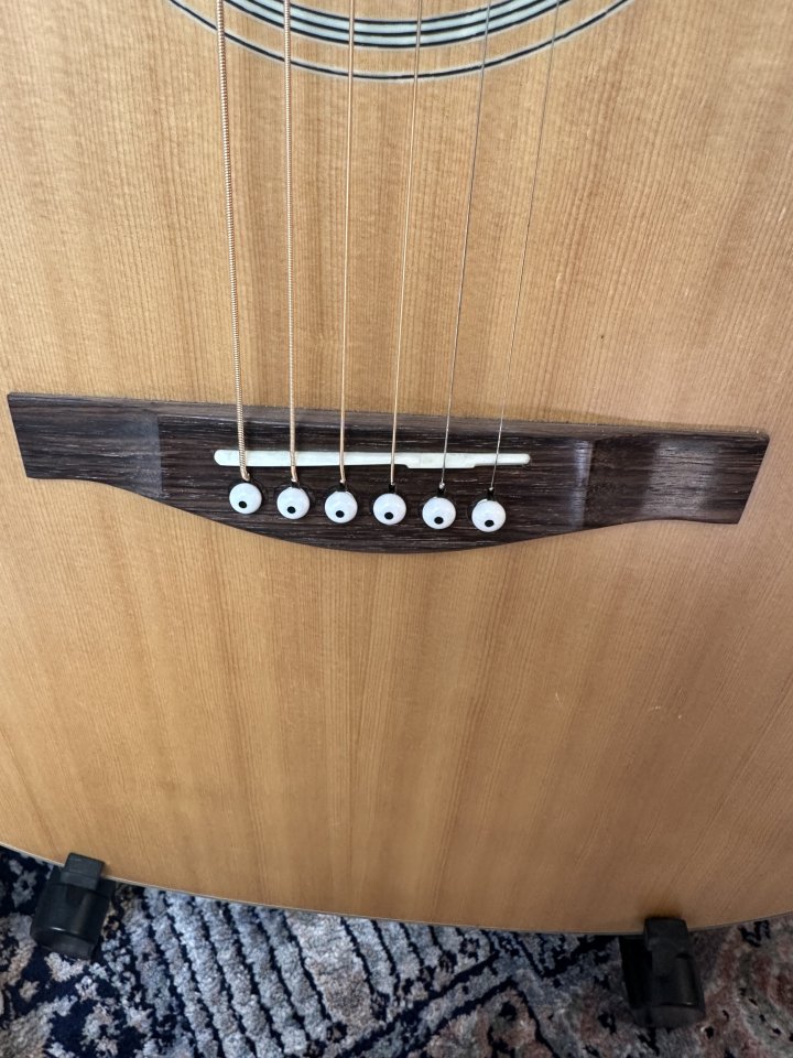 Guitarra Acústica EASTMAN AC-120 NUEVA de segunda mano · Foto 6 de 6 · Madrid · 450 €
