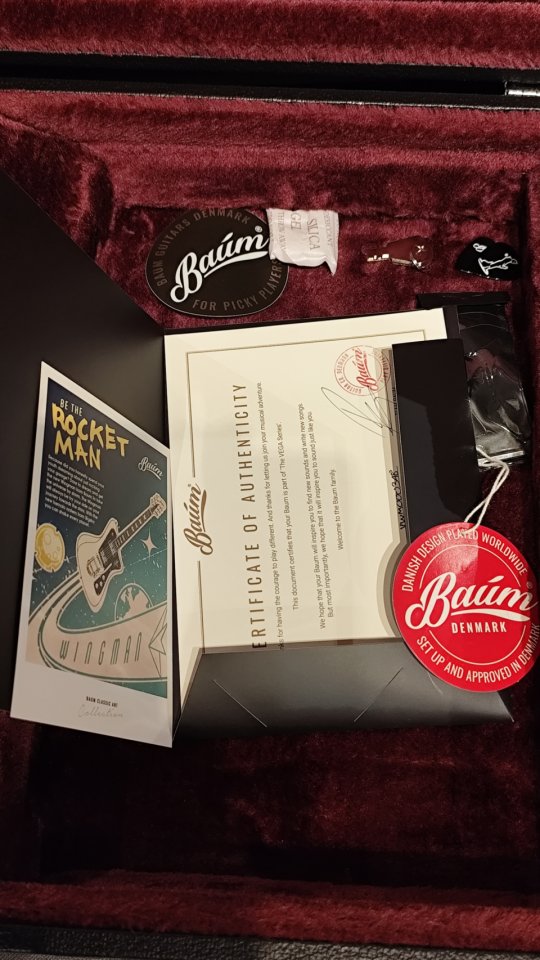 Guitarra BAUM VEGA WINGMAN con mejoras de segunda mano · Foto 6 de 7 · Zaragoza · 1250 €