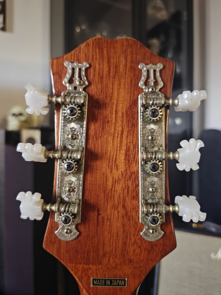 Guitarra Vintage Japonesa K. Suzuki '76 impecable Tapa Sólida, Pastilla K&K de segunda mano · Foto 6 de 10 · Málaga · 650 €