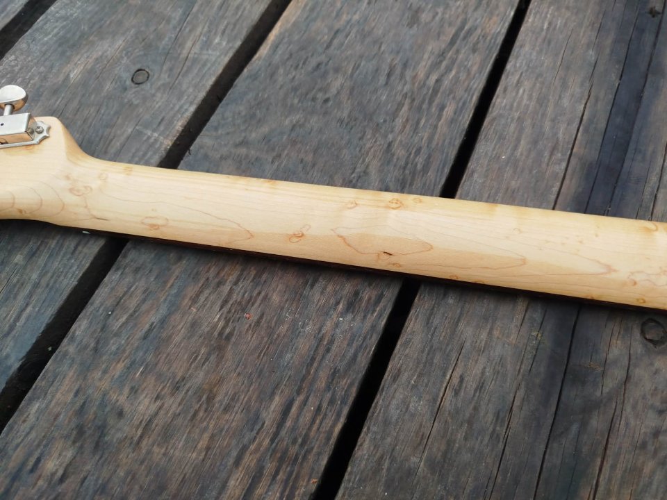 Telecaster Blackguard Heavy Relic Josefina Campos & Brazilian Rosewood