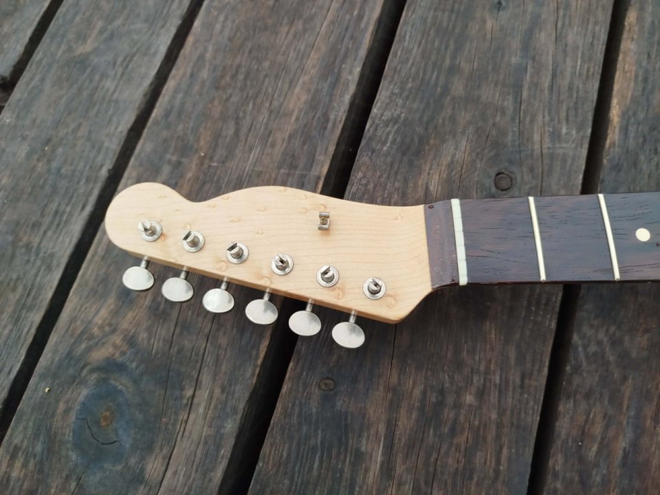 Telecaster Blackguard Heavy Relic Josefina Campos & Brazilian Rosewood