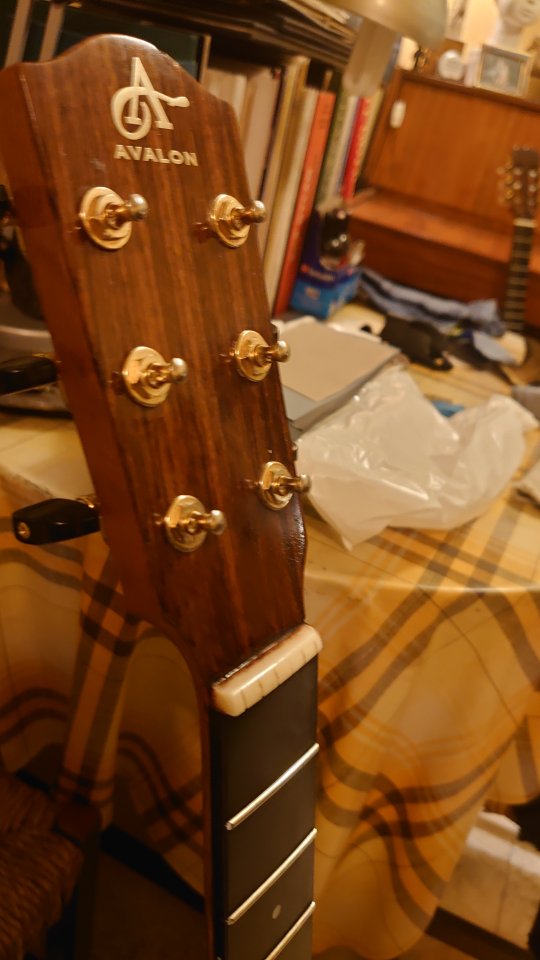 Avalon/Lowden A-101 hecha en Irlanda