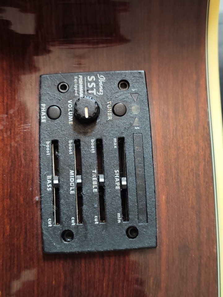 Bajo acústico Ibanez 5 cuerdas