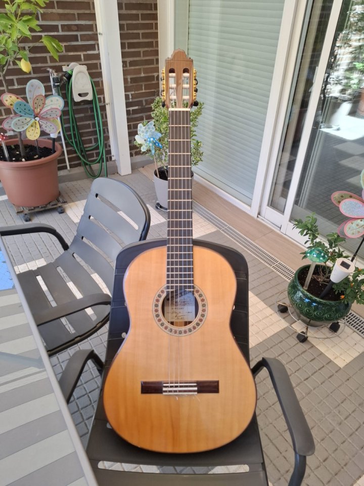 Valeriano Bernal Gitano 50 aniversario de segunda mano · Foto 1 de 8 · Madrid · 1200 €