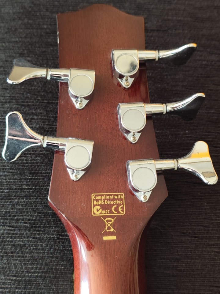 Bajo acústico Ibanez 5 cuerdas