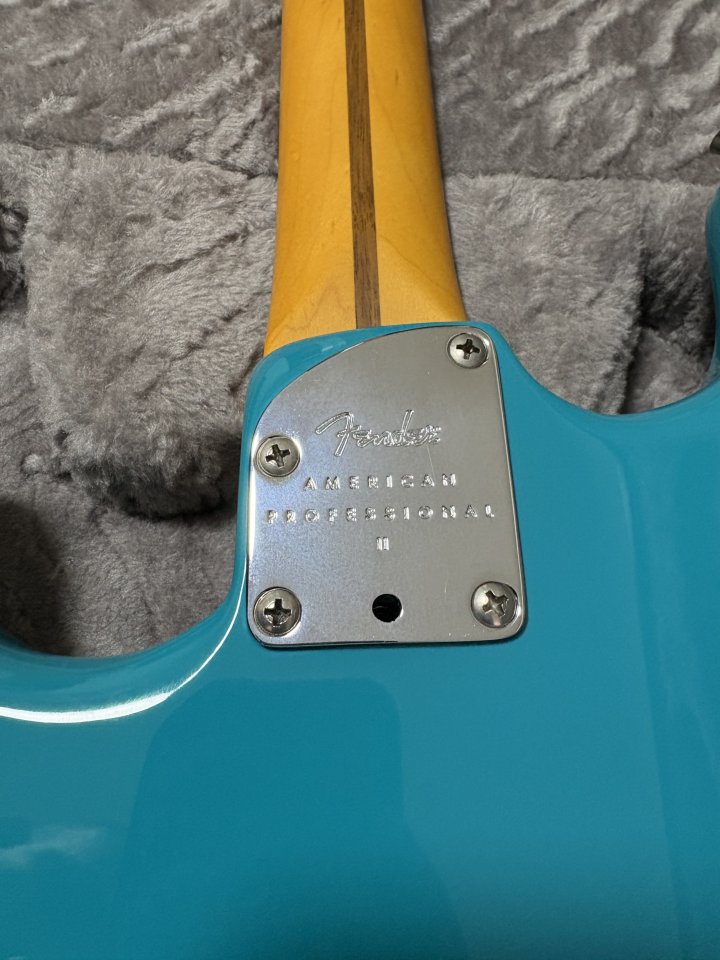 Fender Stratocaster am pro II Custom Shop 69