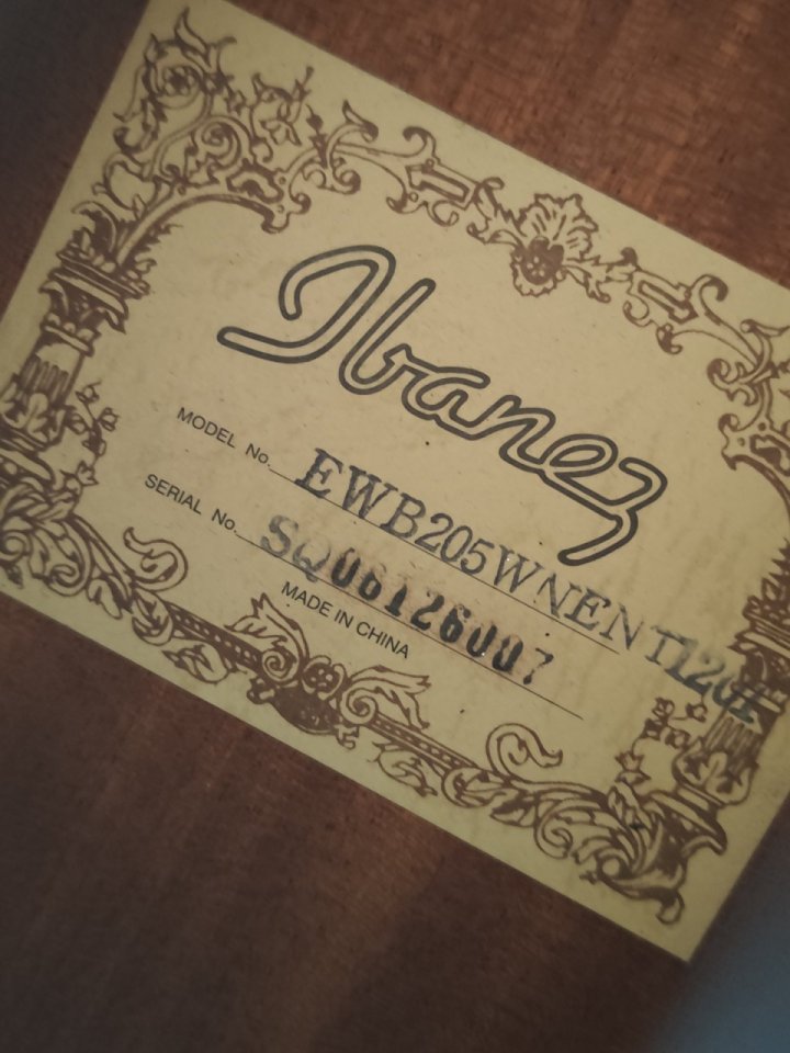 Bajo acústico Ibanez 5 cuerdas