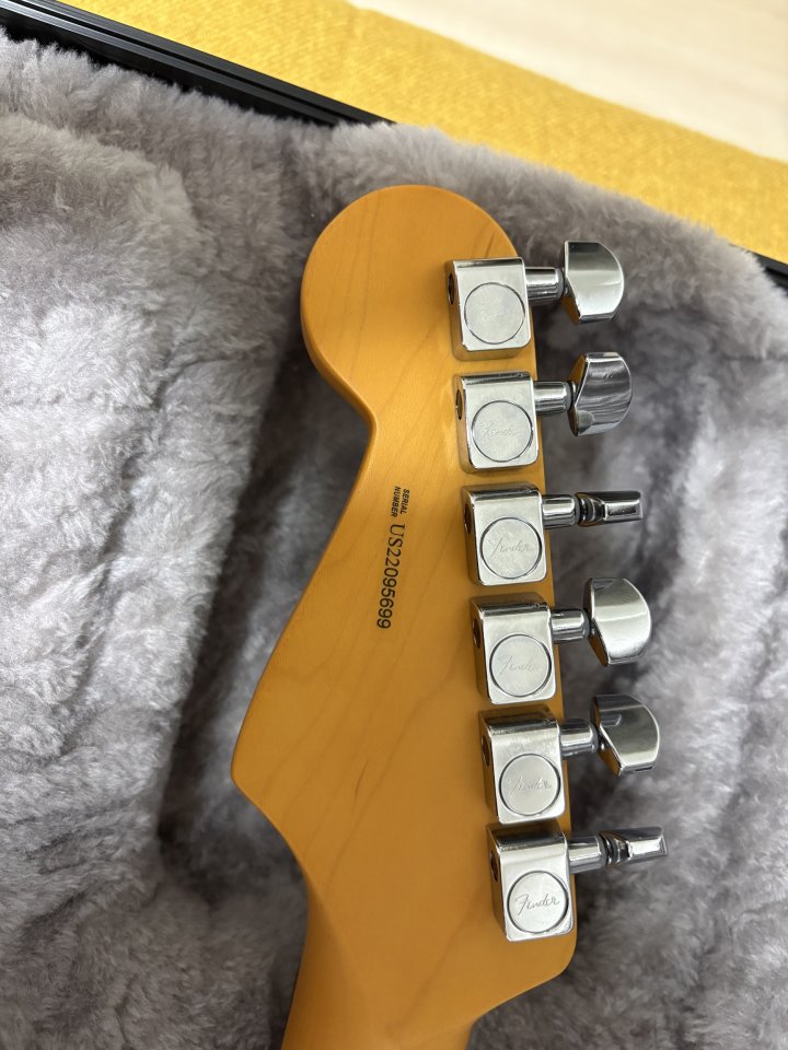 Fender Stratocaster am pro II Custom Shop 69