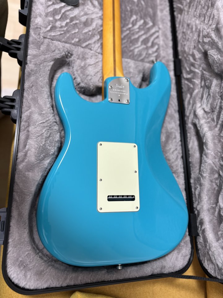 Fender Stratocaster am pro II Custom Shop 69