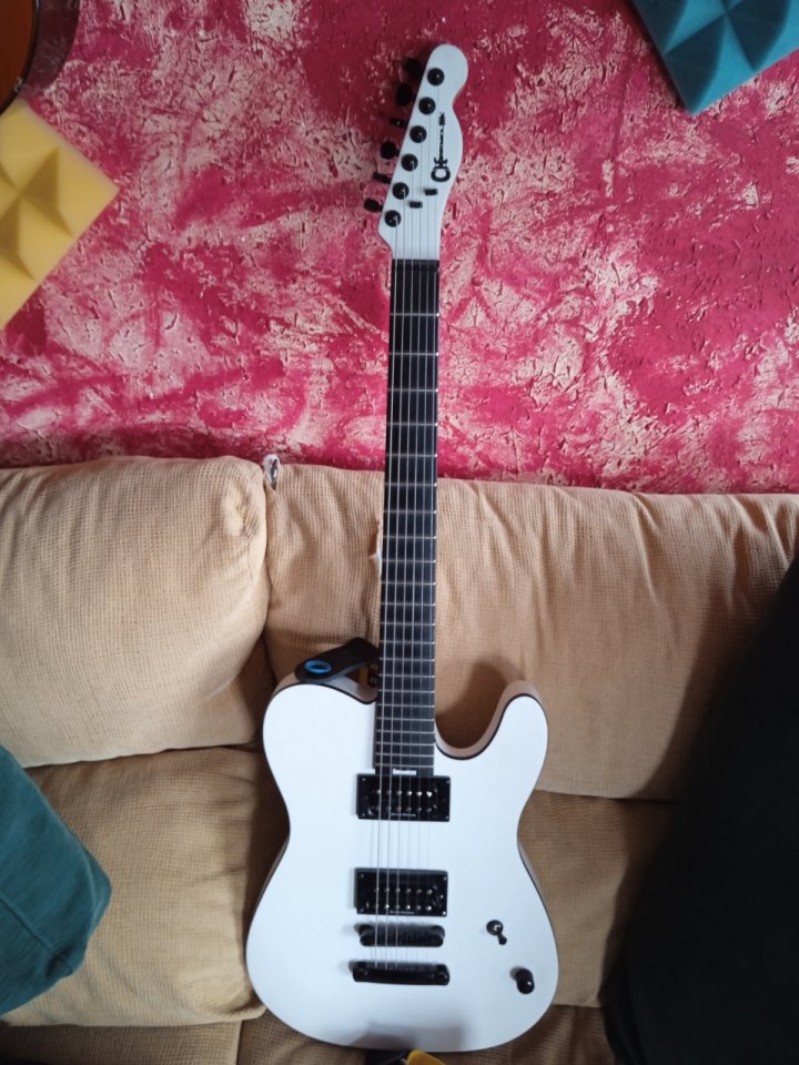 Charvel Joe duplantier
