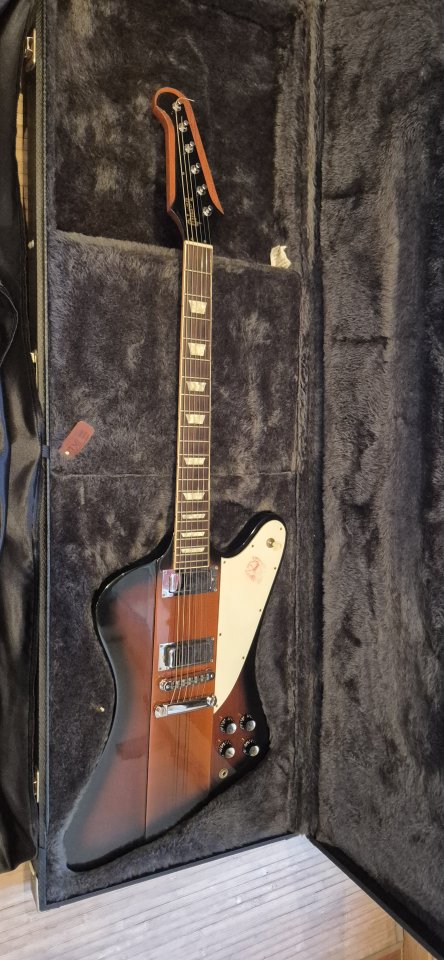 Gibson Fiberd Standar 2005