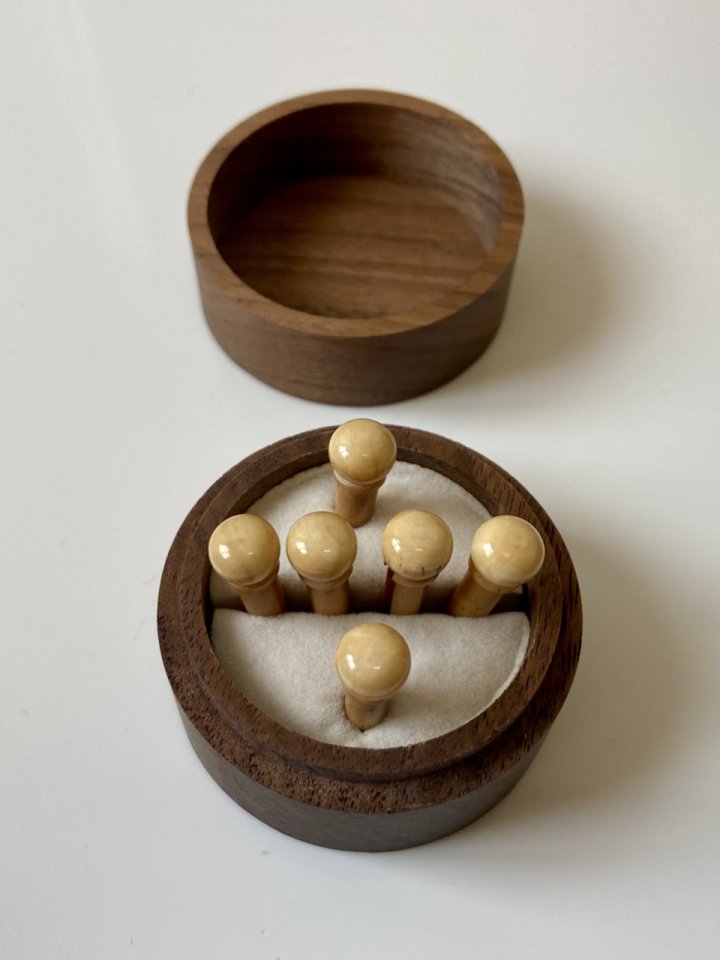 6 clavijas puente hueso camello Goa Premium Vintage