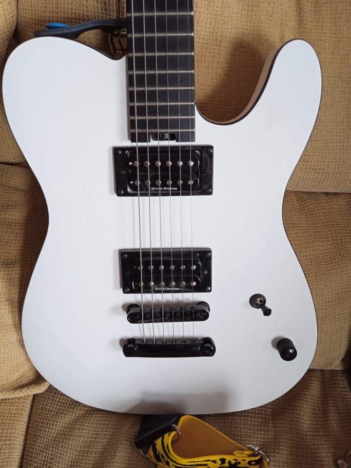 Charvel Joe duplantier