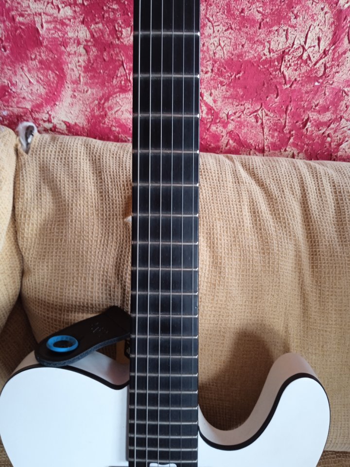 Charvel Joe duplantier