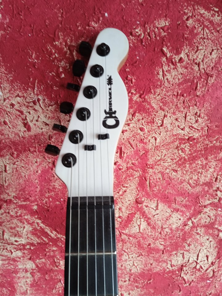 Charvel Joe duplantier