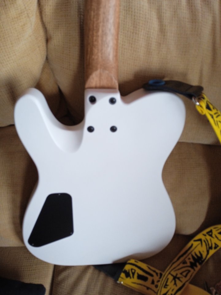 Charvel Joe duplantier