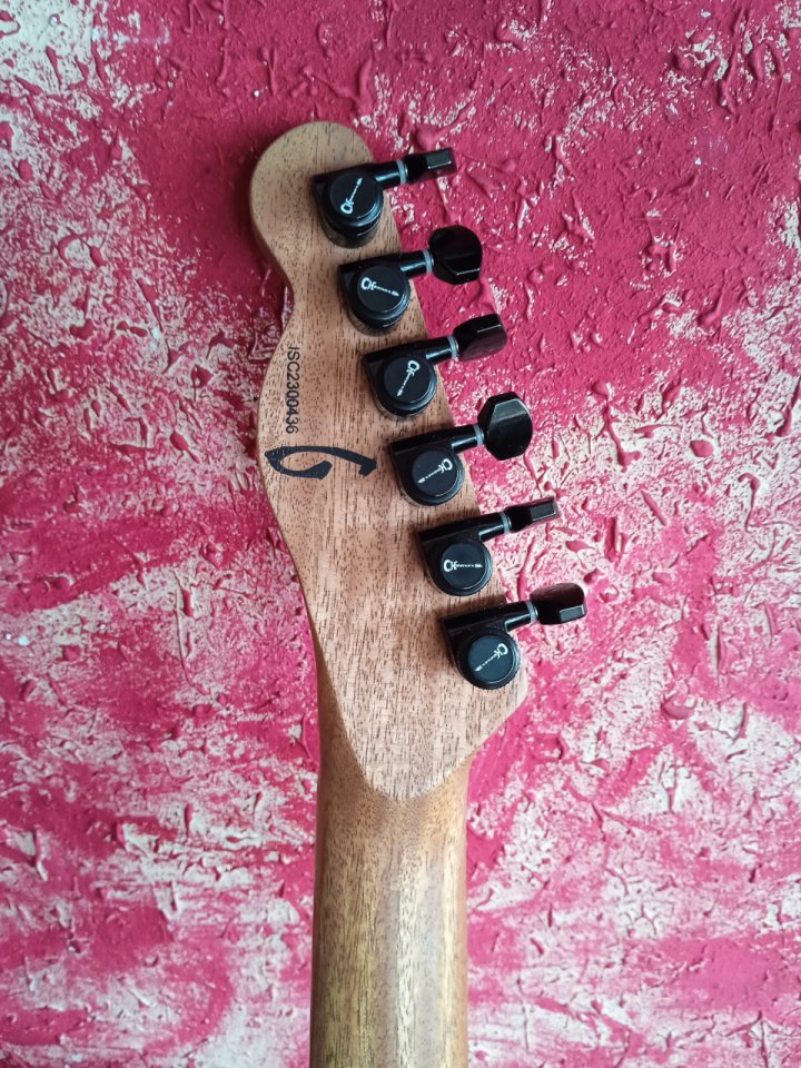 Charvel Joe duplantier