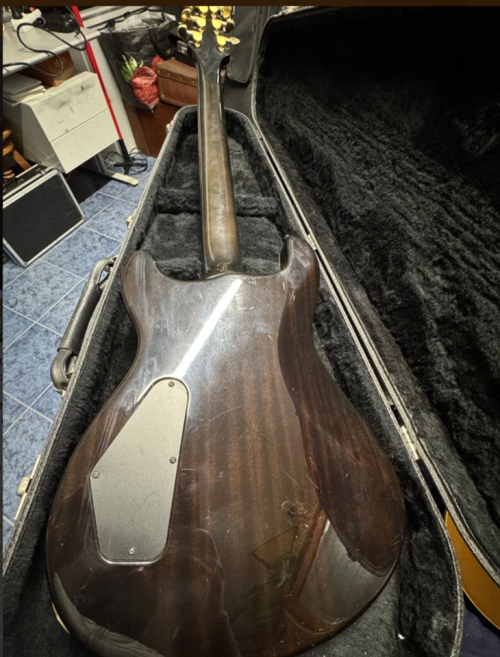 Fernandes APG 100 Premium MIJ