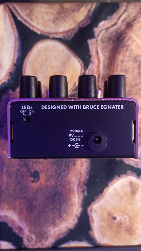 Fender MTG Distortion