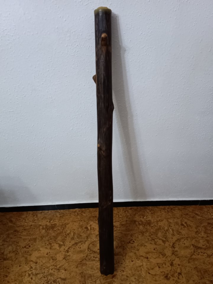 Digeridoo luthier