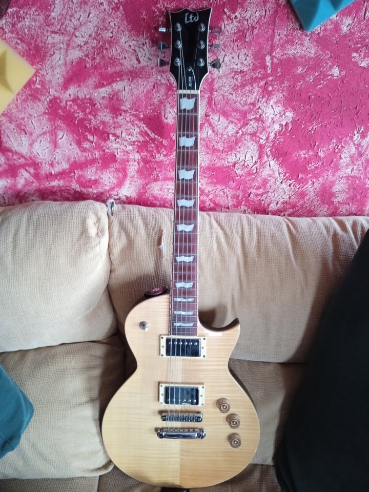 Guitarra eléctrica Ltd EC 256 nv