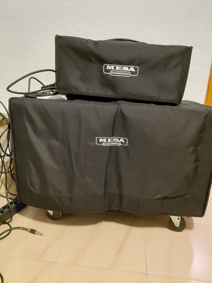 Mesa boogie badlander 25 + 2x12 rectifier