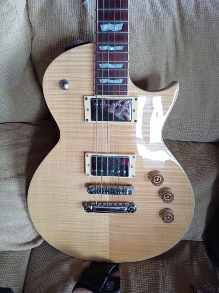 Guitarra eléctrica Ltd EC 256 nv