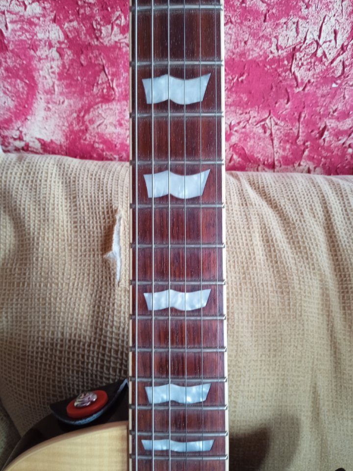 Guitarra eléctrica Ltd EC 256 nv