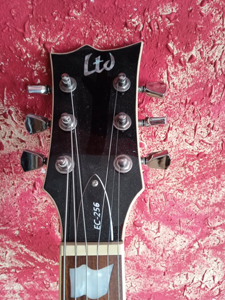 Guitarra eléctrica Ltd EC 256 nv