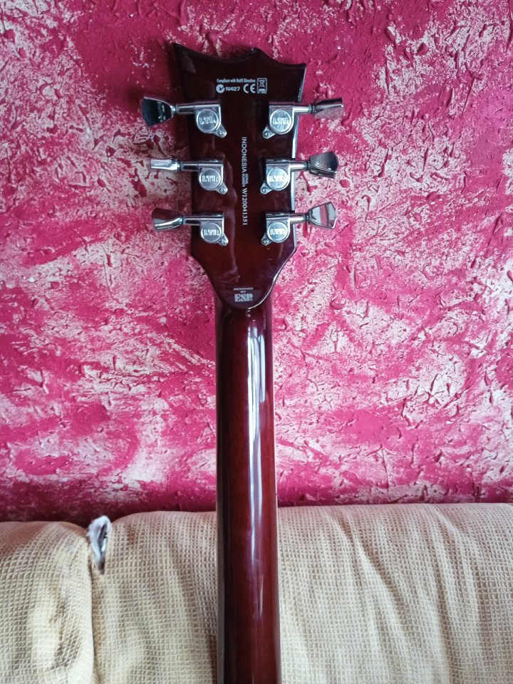 Guitarra eléctrica Ltd EC 256 nv