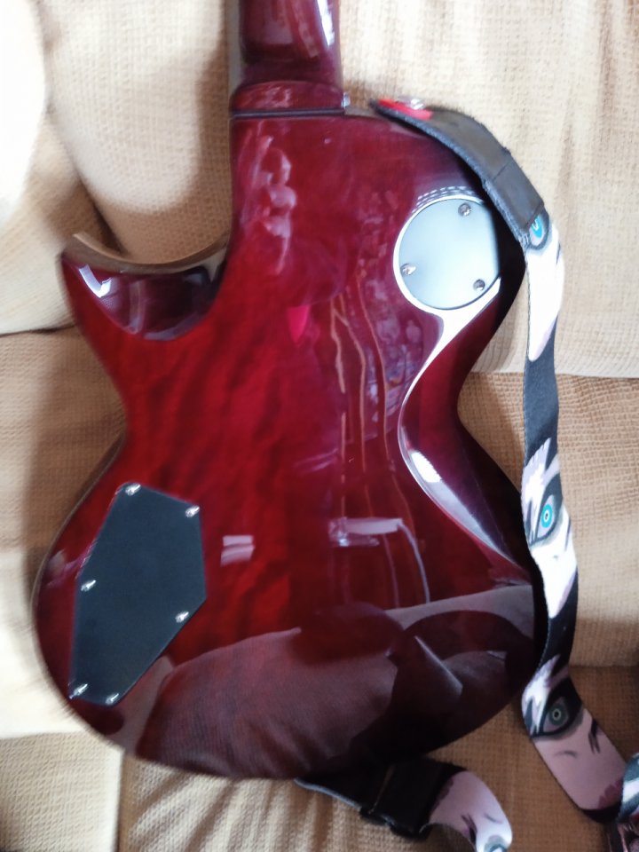 Guitarra eléctrica Ltd EC 256 nv