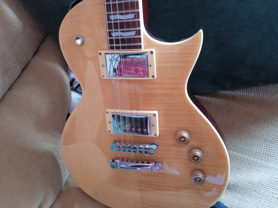 Guitarra eléctrica Ltd EC 256 nv