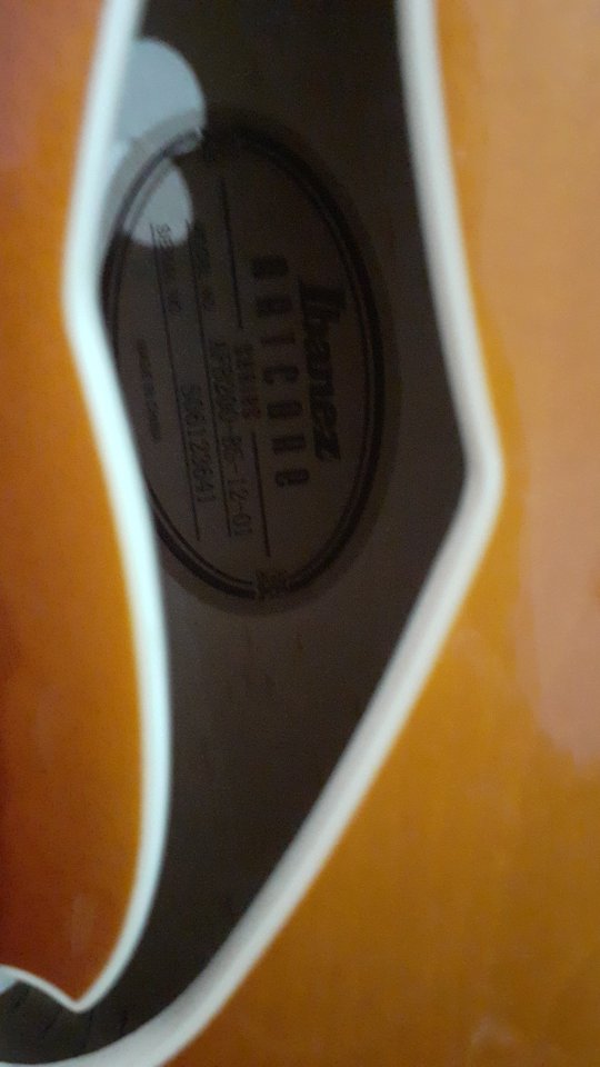 Ibanez Afb 200