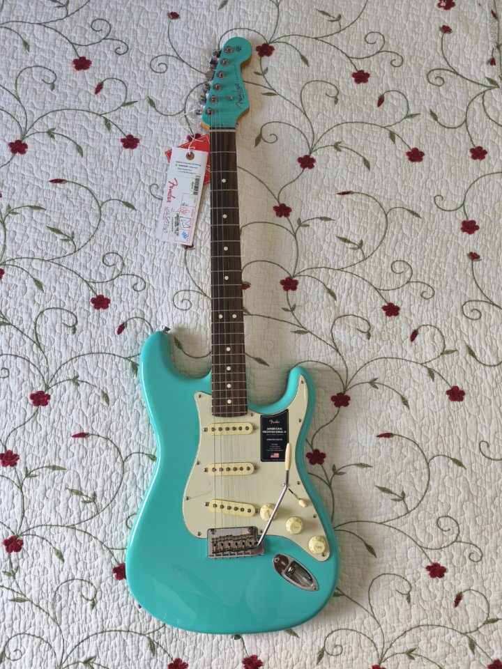 Fender Stratocaster American Professional II – LTD Sea Foam Green (USA) de segunda mano · Foto 2 de 10 · Granada · 1475 €