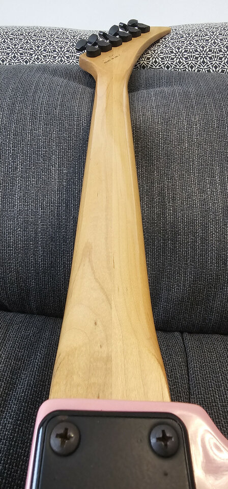 Peavey Adrian Vandenberg 1989 Made in USA