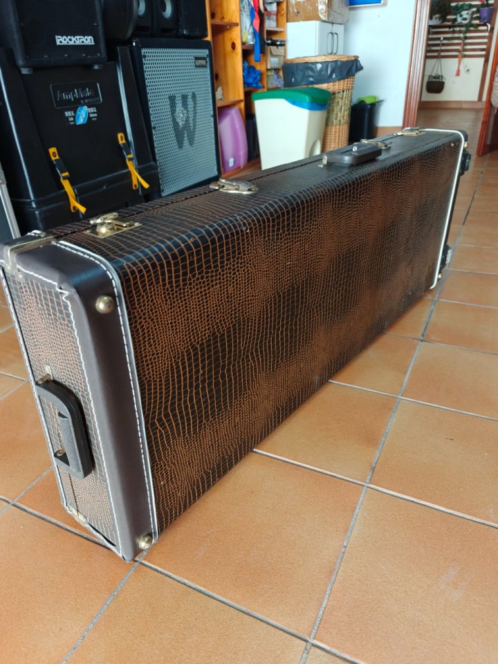 Flightcase Godin de piel con ruedas de segunda mano · Foto 1 de 10 · Lleida · 190 €