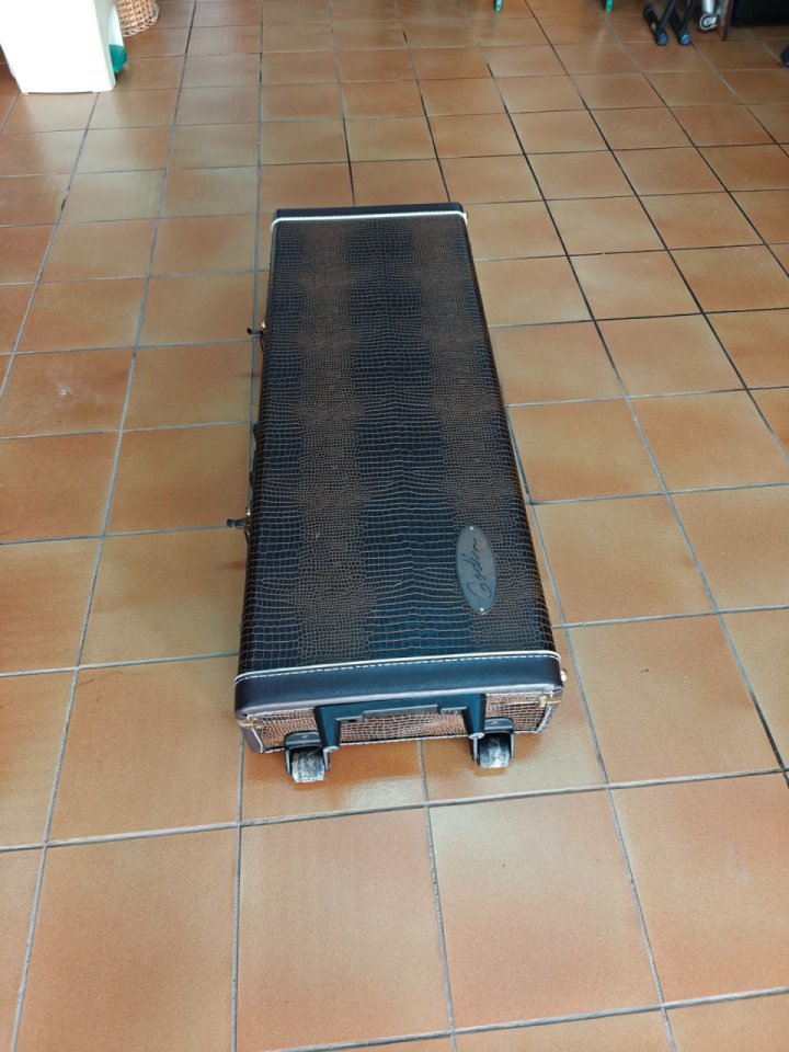 Flightcase Godin de piel con ruedas de segunda mano · Foto 3 de 10 · Lleida · 190 €