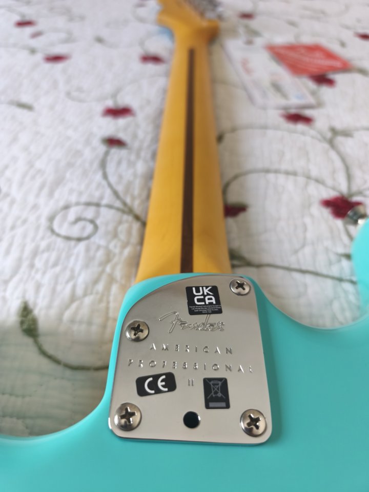 Fender Stratocaster American Professional II – LTD Sea Foam Green (USA) de segunda mano · Foto 7 de 10 · Granada · 1475 €