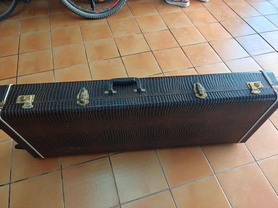 Flightcase Godin de piel con ruedas de segunda mano · Foto 4 de 10 · Lleida · 190 €