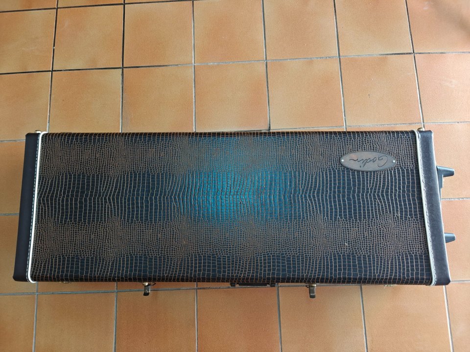 Flightcase Godin de piel con ruedas de segunda mano · Foto 5 de 10 · Lleida · 190 €