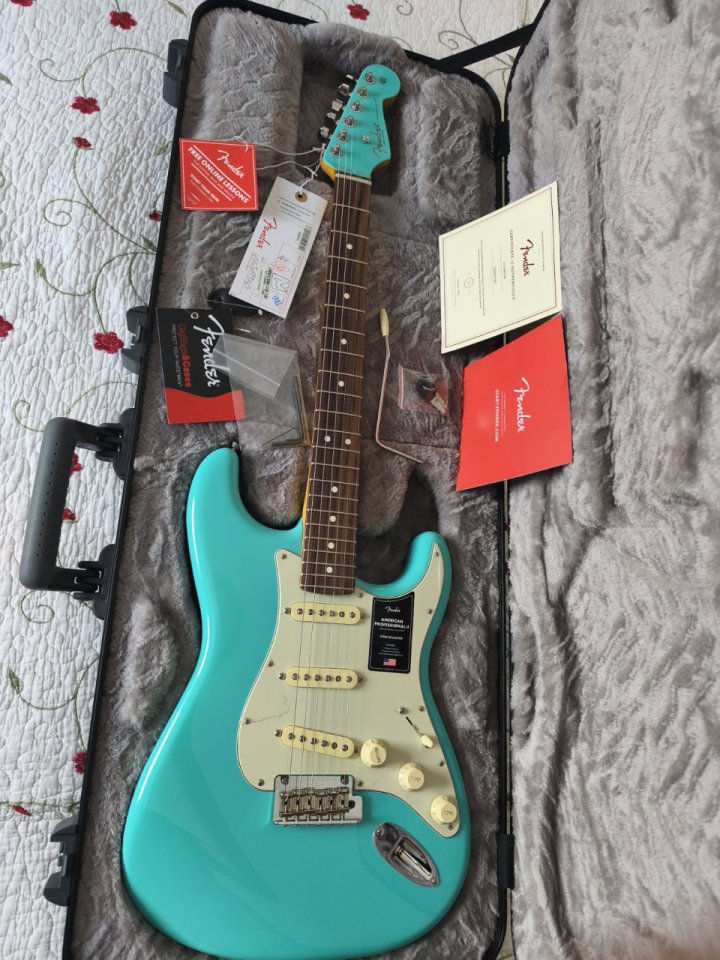 Fender Stratocaster American Professional II – LTD Sea Foam Green (USA) de segunda mano · Foto 1 de 10 · Granada · 1475 €