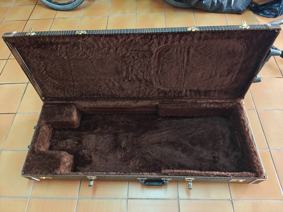 Flightcase Godin de piel con ruedas de segunda mano · Foto 6 de 10 · Lleida · 190 €
