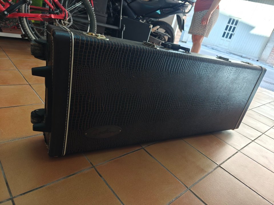 Flightcase Godin de piel con ruedas de segunda mano · Foto 7 de 10 · Lleida · 190 €
