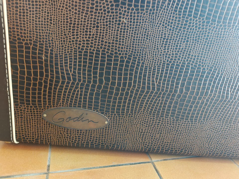 Flightcase Godin de piel con ruedas de segunda mano · Foto 8 de 10 · Lleida · 190 €