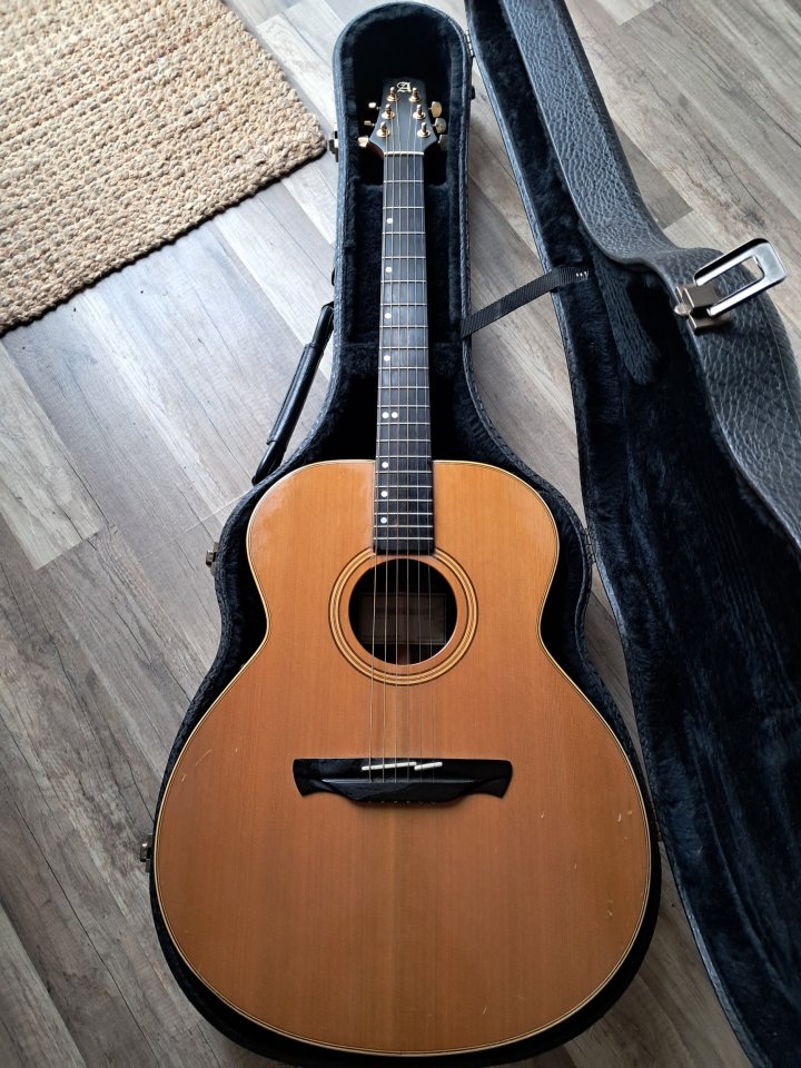 ALHAMBRA  J3 con Fishman Prefix Stereo Blend (Año 2001)