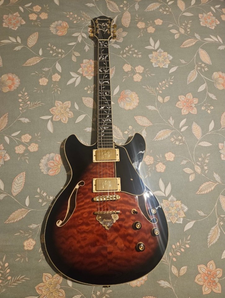 Ibanez AS93 QMSP-DBS de segunda mano · Almería · 650 €