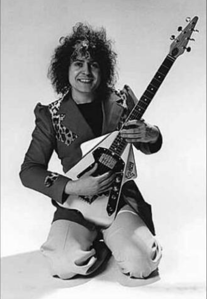 1974 Burns Flyte made in England!