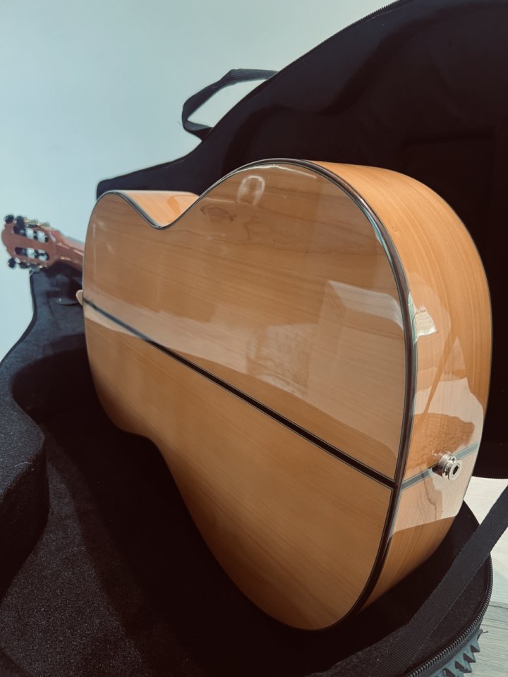 Guitarra Flamenca luthier Antonio Picado de segunda mano · Foto 7 de 10 · Tarragona · 750 €