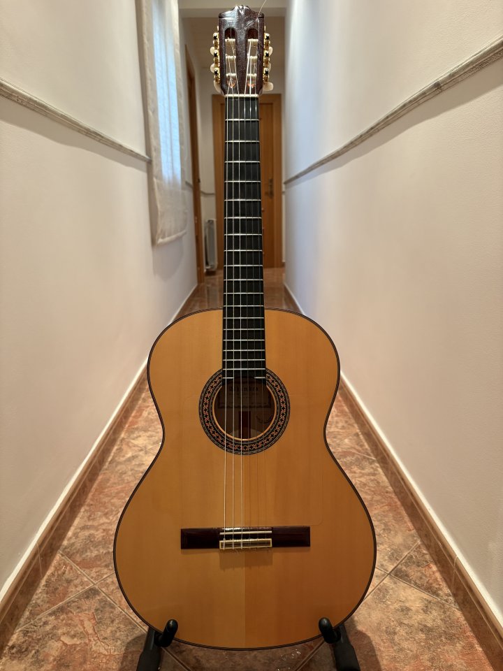 Guitarra flamenca Alhambra 7F