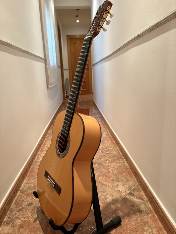 Guitarra flamenca Alhambra 7F
